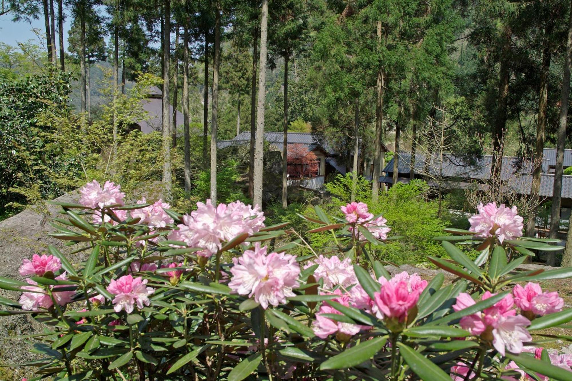 Auberge Funoki Nakatsu Eksteriør billede