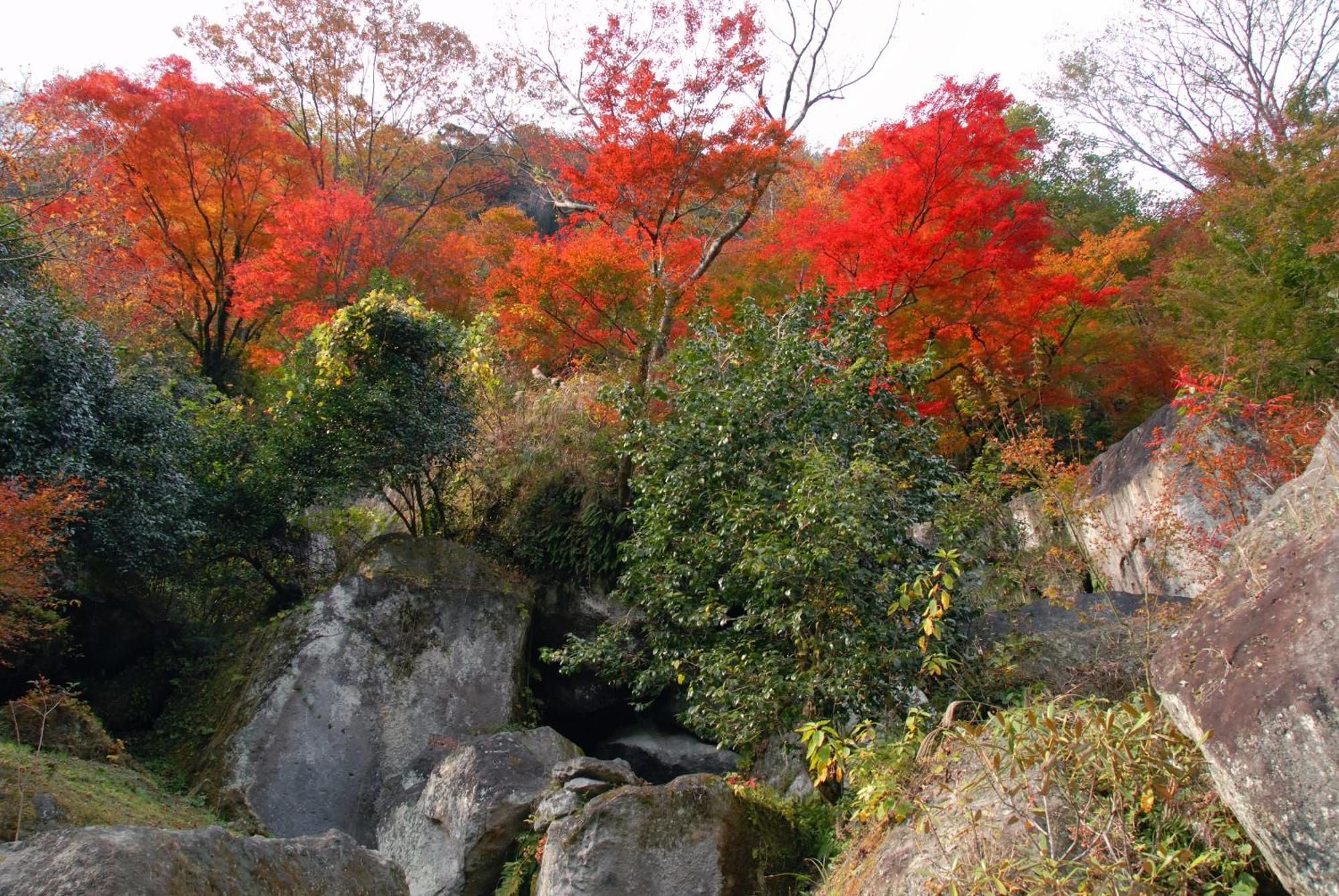 Auberge Funoki Nakatsu Eksteriør billede