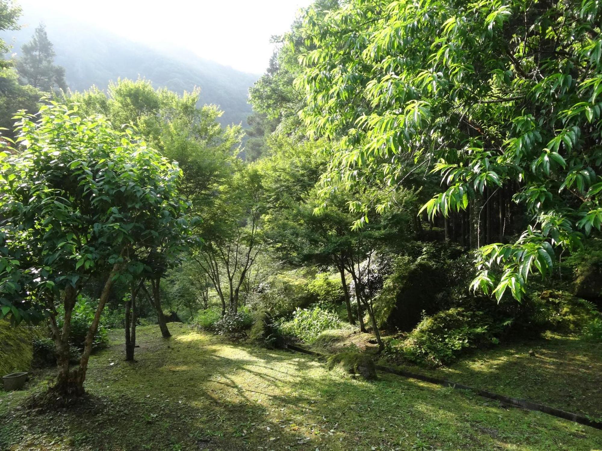 Auberge Funoki Nakatsu Eksteriør billede